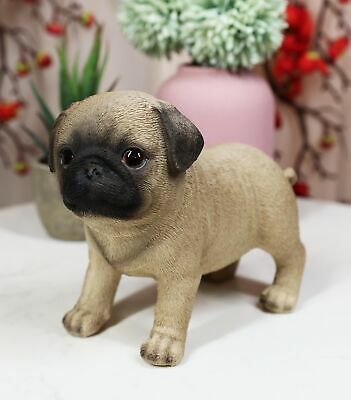 Ebros Realistic Adorable Fawn Pug Puppy Dog Figurine 5